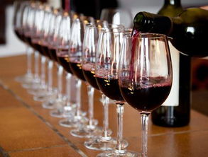 法國葡萄酒有哪些品牌