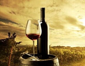 格拉夫干紅 創(chuàng)業(yè)優(yōu)勢多