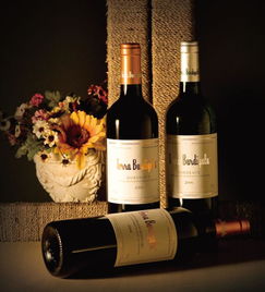 法國原裝進口葡萄酒 天鵬家族 波爾多 紅葡萄酒750ml